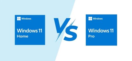 windows 11 home vs pro